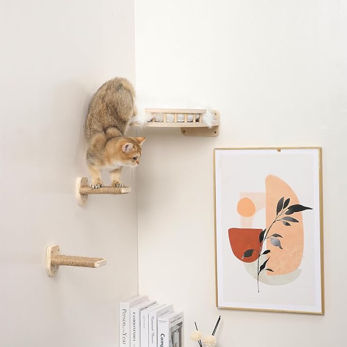 Cat Wall Shelves - Image 8