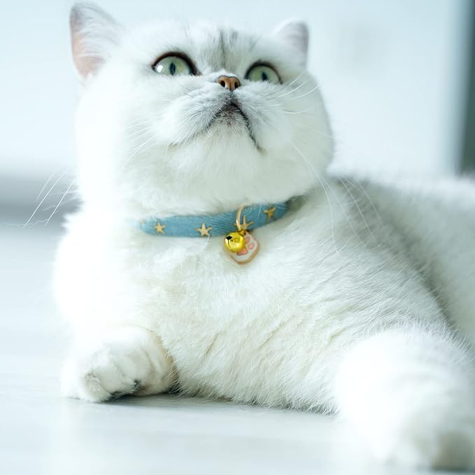 2 Pack Denim Breakaway Cat Collars - Image 5