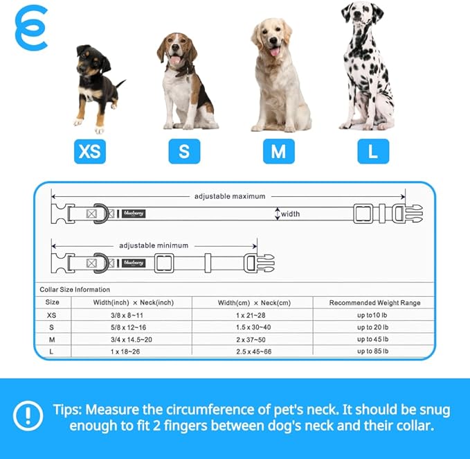 Blueberry Pet Essentials Matching Small Dog Collar | Adjustable Classic Solid - Image 9