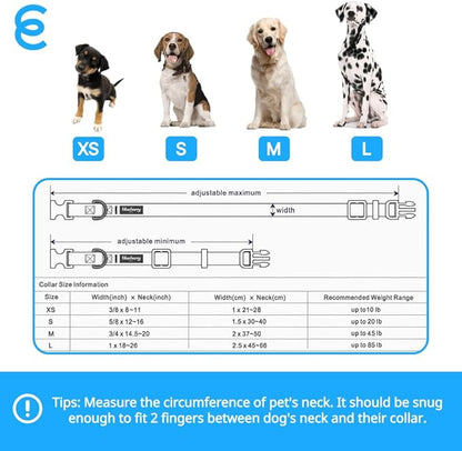 Blueberry Pet Essentials Matching Small Dog Collar | Adjustable Classic Solid - Image 9