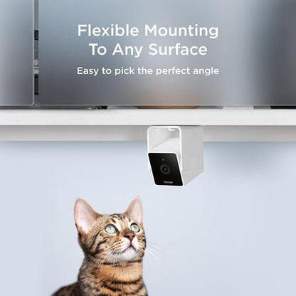 Petcube Cam The Pack of 2 | Indoor Wi-Fi Pet Security Camera - Image 6