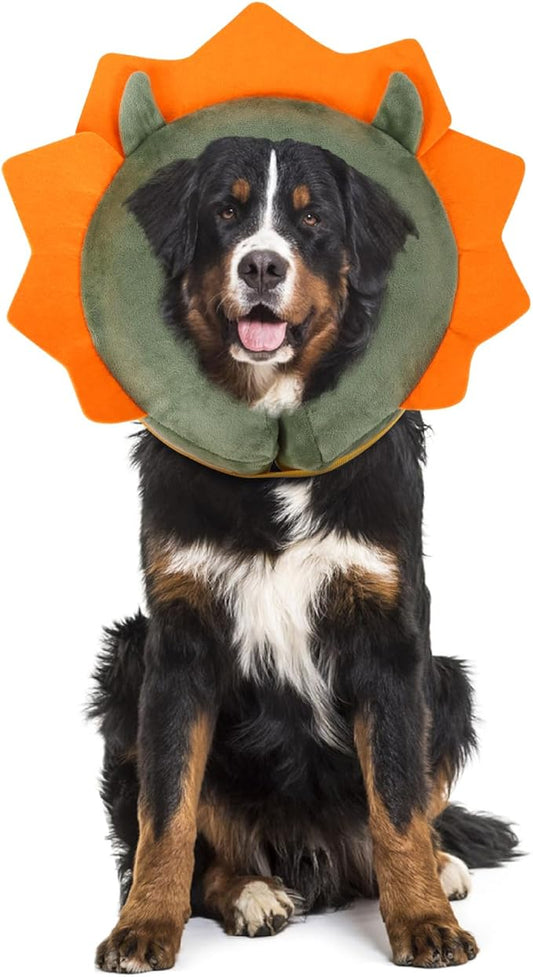 IEUUMLER Inflatable Recovery Dog Collar, Protective Donut Cone, Adjustable Soft by IEUUMLER