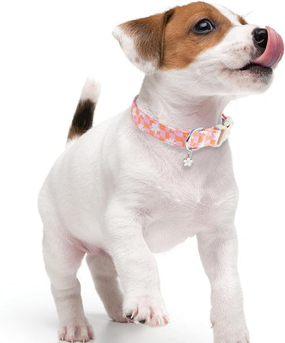 Faygarsle Floral Dog Collar, Spring Summer Design - Image 6