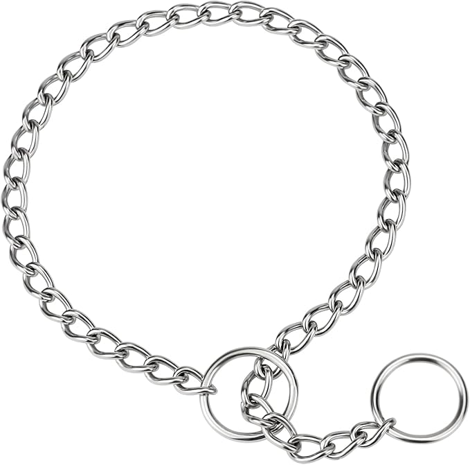 TagME Chain Choke Collar for Dogs, Adjustable Weather Proof Necklace for Small by TagME