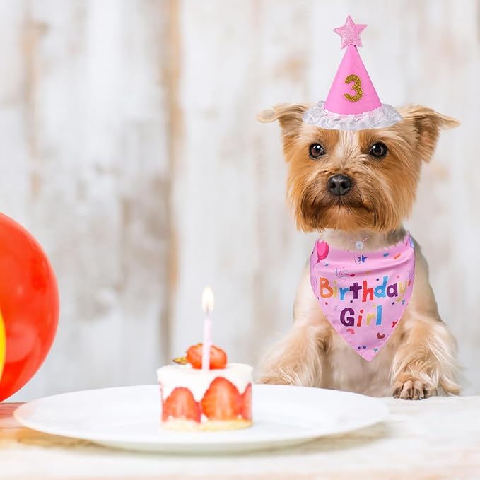 Dog Birthday Bandana Set, Dog Birthday Party Supplies, Puppy Boy Girl Birthday - Image 6