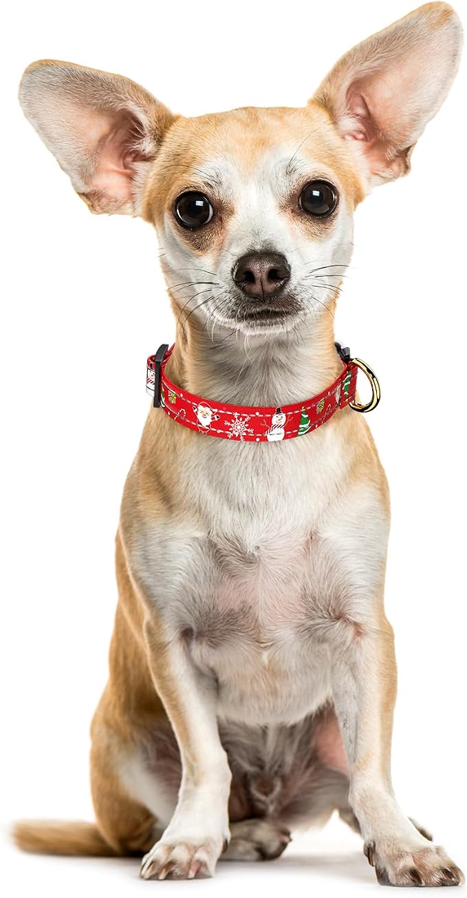 Reflective Dog Collar - Image 2
