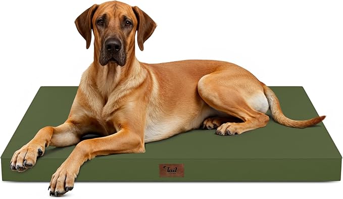 Outdoor Extra Large Dog Bed, Jumbo Waterproof Dog Bed by TailStories