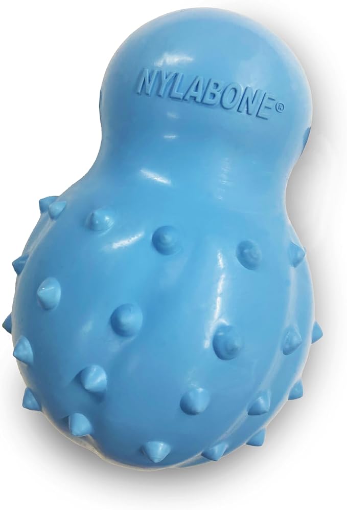 Nylabone Treatin' Cone Strong Stuffable Chew Toy by Nylabone