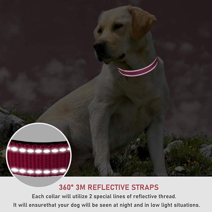 Reflective Dog Collar with Buckle Adjustable Safety Nylon Collars - Image 4