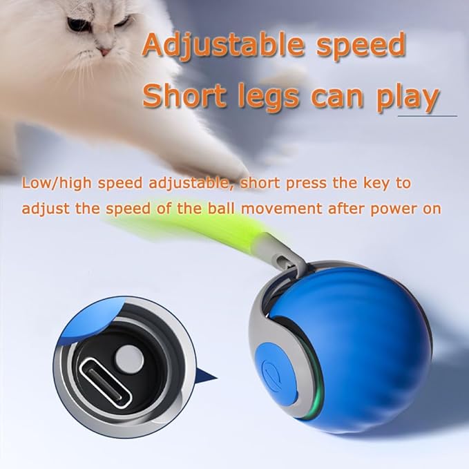 2Packs Speedy 2.0 Tail Cat Toys - Image 2