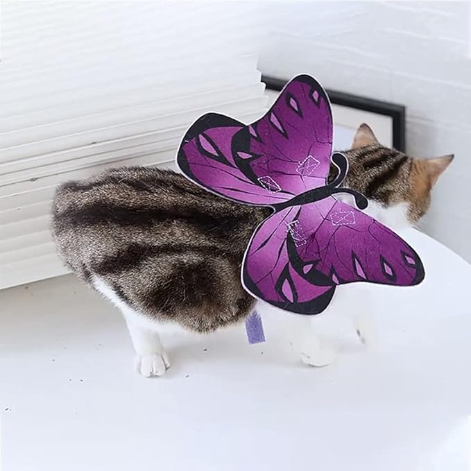 Pet Cat Bat Wings for Halloween Party Decoration, Puppy Collar Leads Cosplay - Image 3