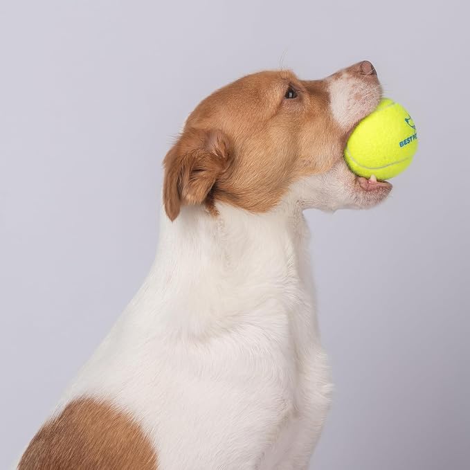 Best Pet Supplies Interactive Squeaky Dog Chew Toy, Ideal Dog Toys - Image 7