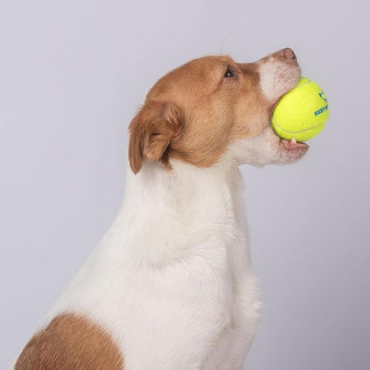 Best Pet Supplies Interactive Squeaky Dog Chew Toy, Ideal Dog Toys - Image 7
