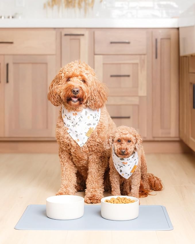 Remy+Roo Dusty Blue Silicone Dog Food Mat - Image 2