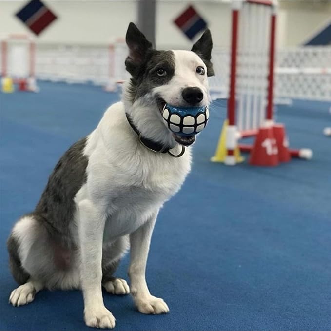 Dog Balls Toys Squeaky Fetch - Image 3