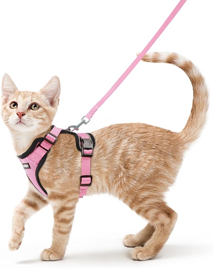 rabbitgoo Cat Harness and Leash by rabbitgoo