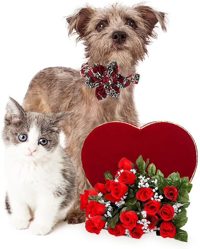 Lionheart Glory Dog Collar, Cute Floral Pattern Pet Collar Adjustable Dog Collar - Image 6