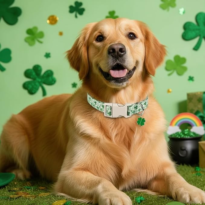 XS Dog Collar for St. Patrick's Day, Cute Dog Collar - Image 5