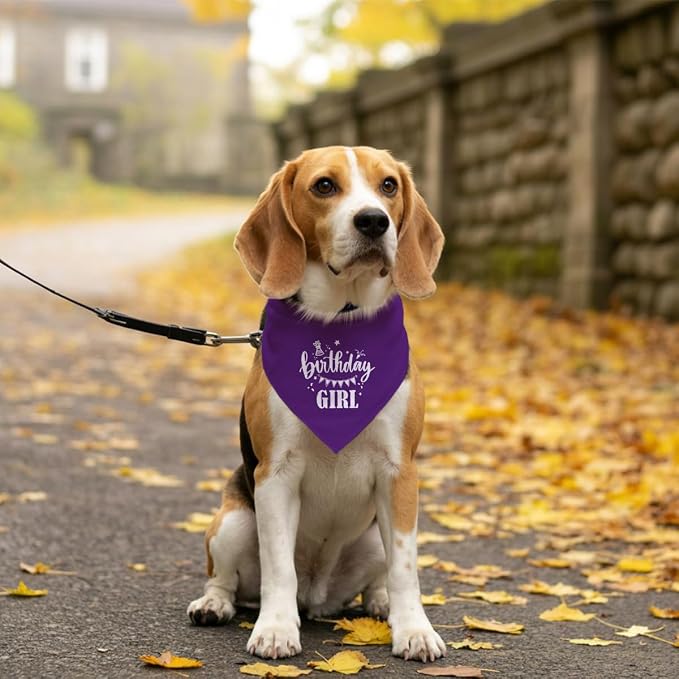 Birthday Girl Dog Bandana - Image 5