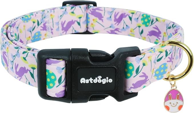 Easter Dog Collar, Spring Easter Egg Print Dog Collar by Unknown