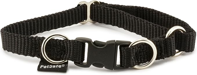PetSafe KeepSafe Break-Away Safety Collar by PetSafe