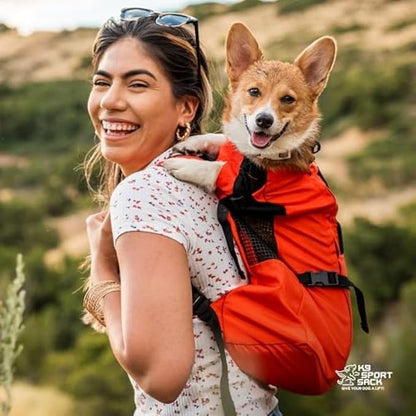 K9 Sport Sack Trainer - Image 5