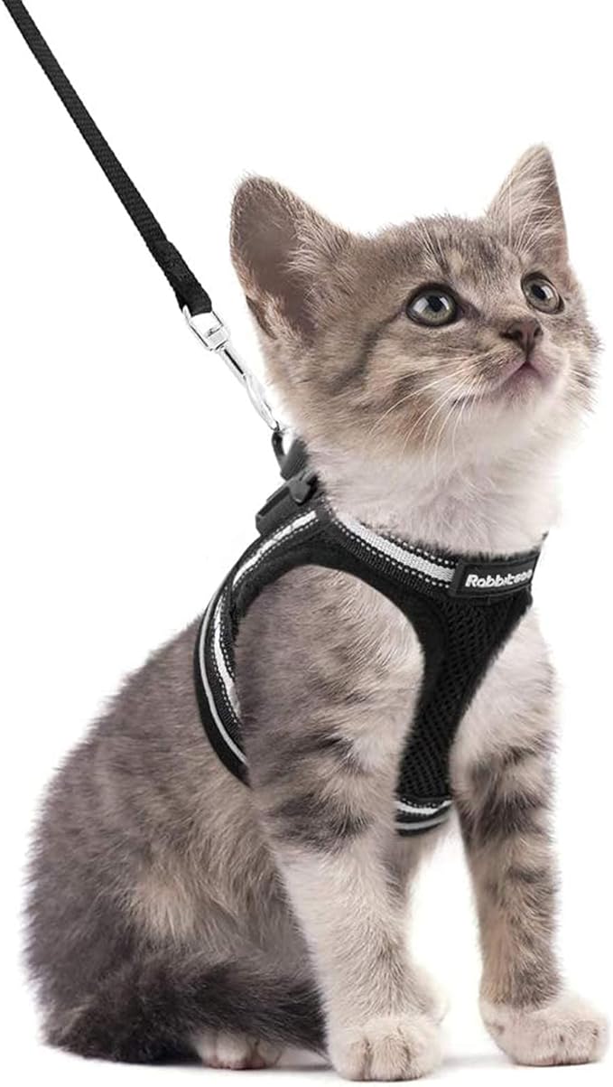 rabbitgoo Cat Harness and Leash Set by rabbitgoo