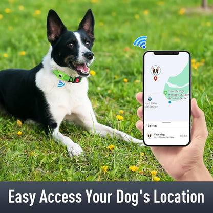 Airtag Dog Collar with AirTag Holder - Image 2