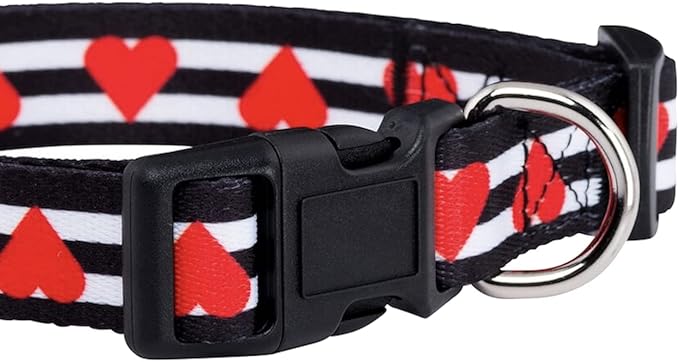 Native Pup Valentine’s Dog Collar- Valentines Day Pet Collars- Valentine Girly - Image 5