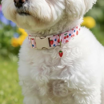 Pink Dog Collar, Girl Dog Collar - Image 8