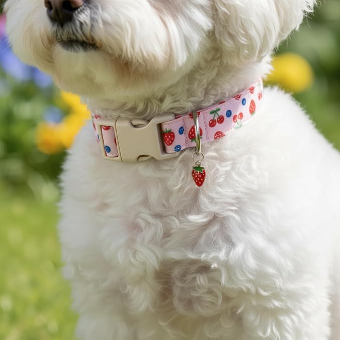Small Dog Collar, Cute Dog Collar - Image 5