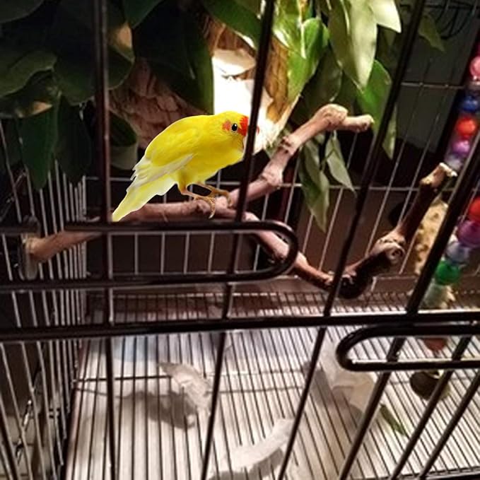 PINVNBY Bird Perches for Cage - Image 4