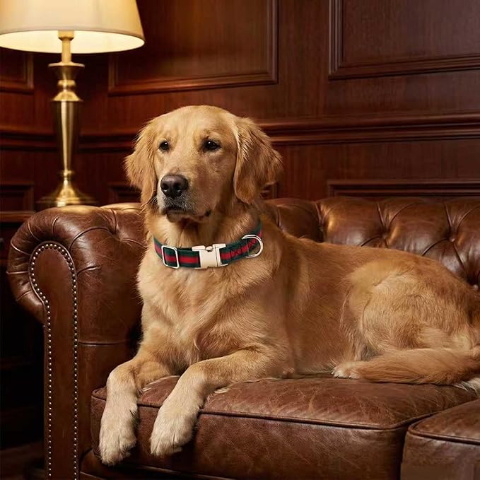 Premium Dog Collar, Cute Dog Collars Luxury Style, Durable Pet Collars - Image 5