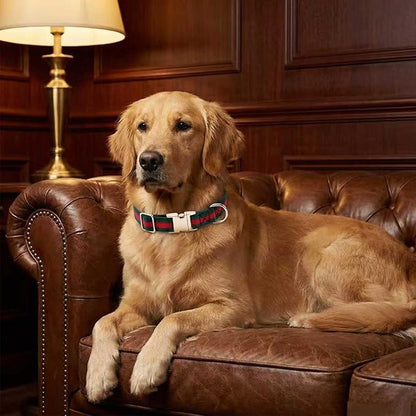 Premium Dog Collar, Cute Dog Collars Luxury Style, Durable Pet Collars - Image 5