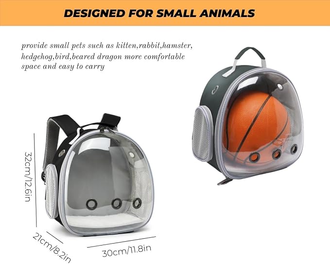 Small Animal Carrier Guinea Pig Backpack, Transparent, Breathable Backpack - Image 2