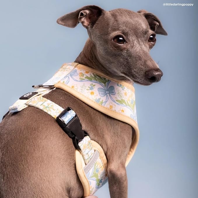 Lucy & Co. Sunshine and Daffodils Reversible Dog Harness, Adjustable Comfort Fit - Image 7