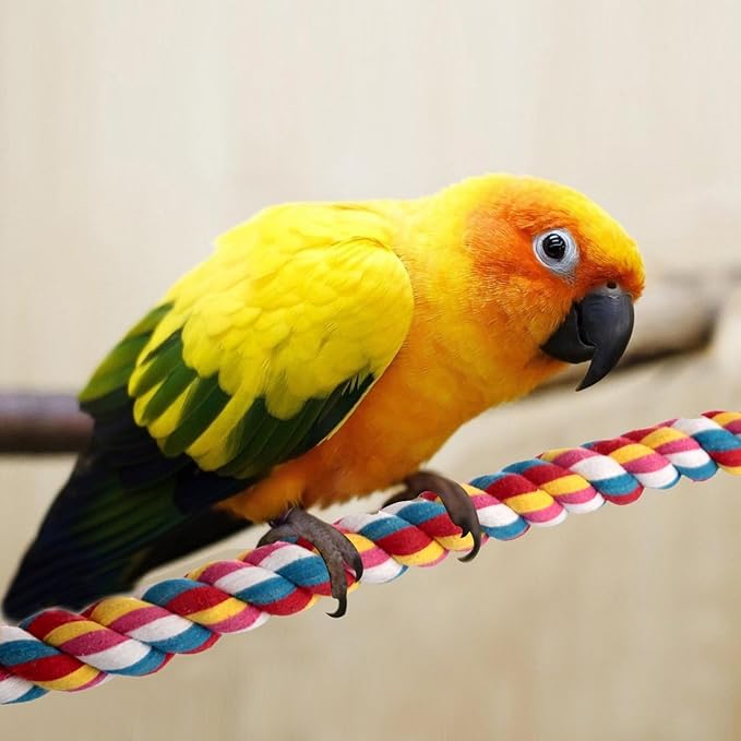 Bird Rope Perches, Parrot Toys 41 inches Rope Bungee Bird Toy - Image 5