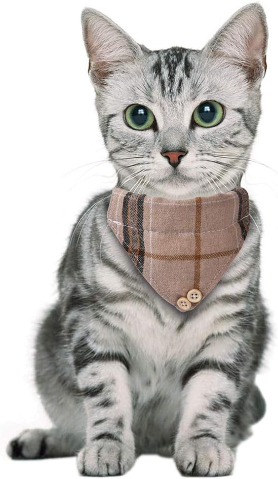 Faleela Breakaway Cat Collar - Image 5
