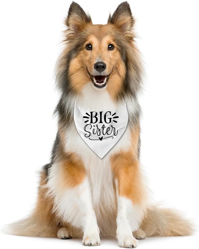 Big Sister Dog Bandana, Pet Triangle Scarf, Pet Bandana - Image 2