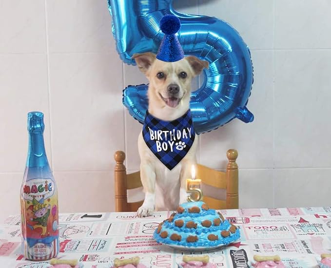 Dog Birthday Party Supplies, Pet Birthday Hat and Boy Doggy Birthday Bandana Set - Image 5