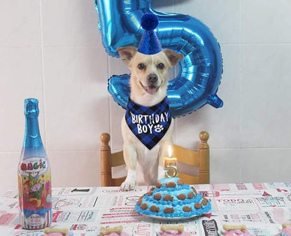 Dog Birthday Party Supplies, Pet Birthday Hat and Boy Doggy Birthday Bandana Set - Image 5
