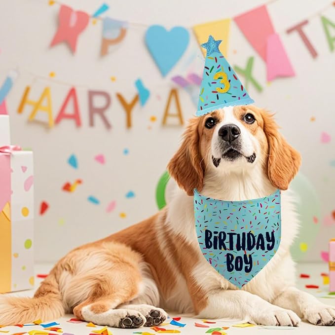 Dog Birthday Bandana Set, Light Blue Birthday Boy Decorations, HBD Party - Image 5