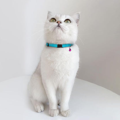 Breakaway Cat Collar Leather - Image 8