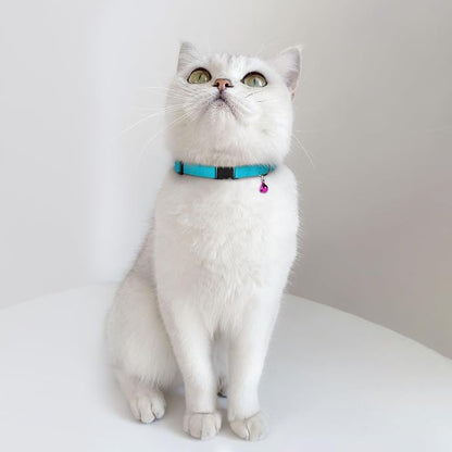 Breakaway Cat Collar Leather - Image 8
