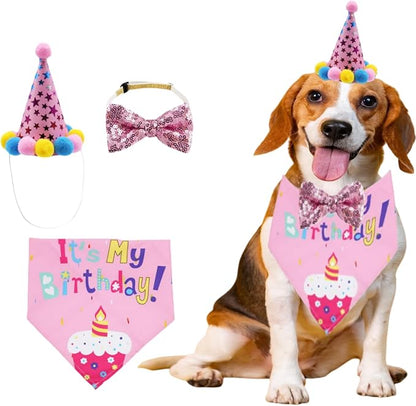 Pet Birthday Party Set with Hat and Bandana by Unknown