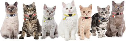 7 Pack Breakaway Cat Collars - Image 5