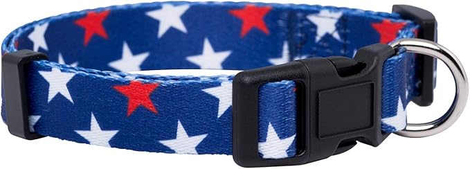 Native Pup American Flag Dog Collar- Red White and Blue- Patriotic Collars by NativePup
