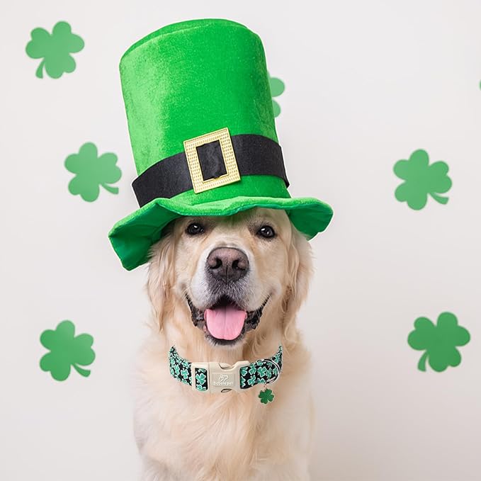 St Patricks Day Dog Collar for Medium Dogs - Image 4