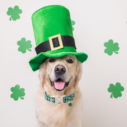 St Patricks Day Dog Collar for Medium Dogs - Image 4