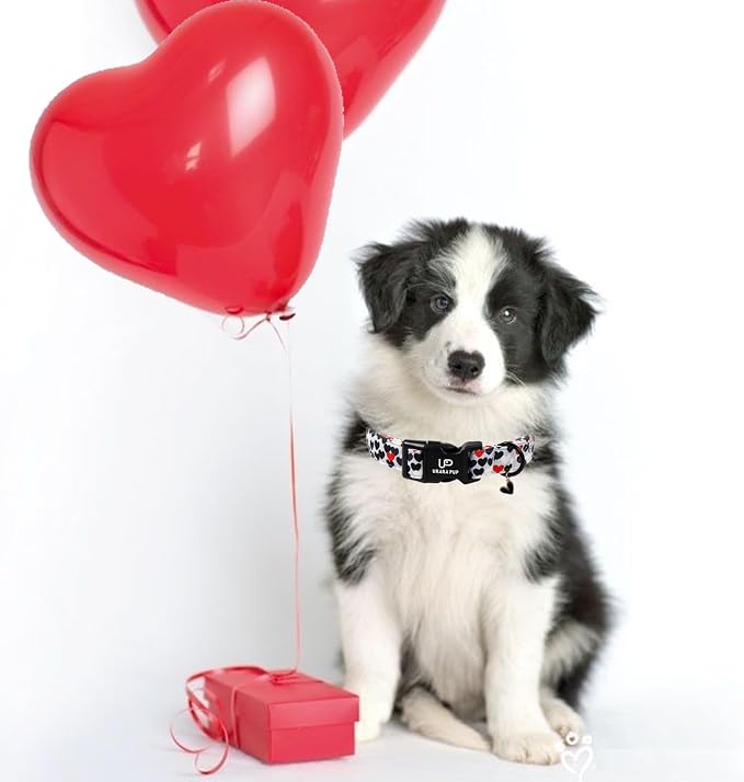 Valentine's Dog Collar, UP URARA PUP Love Heart Adjustable Pet Collar - Image 5
